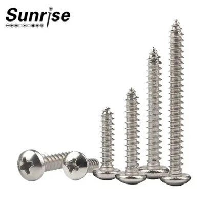 M2-M10 Phillips Yias Lub Taub Hau Self-tapping Screws SS316