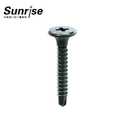 Phillips Bible Taub Hau Taub Hau Drilling Screws