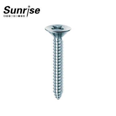 Phillips countersunk taub hau tapping screws